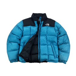 Giubbotti Puffer The North Face