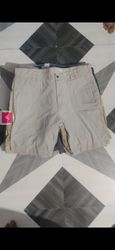 Carhartt Shorts