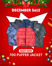TNF 700 GIACCHE PUFFY 10 PEZZI