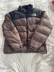 The North face Puffers