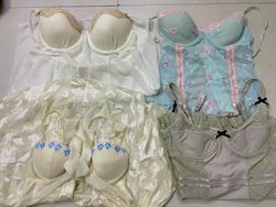 Mistura de Pacote de Corset e Tops 21 Peças