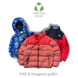 Patagonia & The North Face puffer