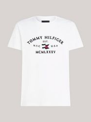 Men,s Tommy Hilfiger T shirts