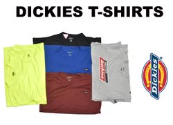 Dickies T-Shirts 10 pcs