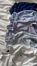 Polo Ralph Lauren Cotton Shirts