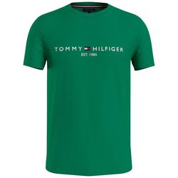 Special Tommy Hilfiger Collar Tshirts