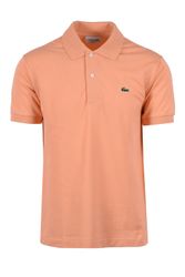 Ralph Lauren Lacoste Tommy Hilfiger polos camiseta..