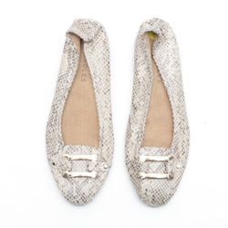 CR3687 Donne Super Nova Sportivo - 20 Pz