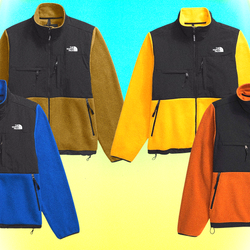 The North Face Jackets 30 pcs