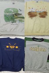 Sweatshirts de marques mélangées 18 pièces
