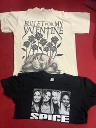 Gildan & Fruit Of The Loom Tees / 10 Pcs
