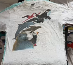 Printed T shirt