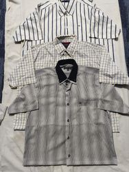 Short body Shirts
