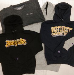 ZH0096 Champion Hoodies / Sweatshirts - 10 Pcs