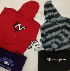 ZH0098 Champion Hoodies - 10 Pcs