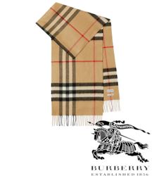 Burberry Scarves