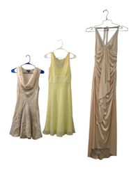 Fairycore dresses -7b -12/6/25