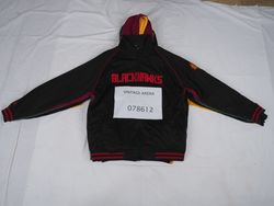 Branded Hoodies (5 pcs)