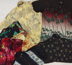 ZH0163 Camicie Hawaiane - 20 Pz