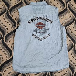 Carhartt/Patagonia/Harley Davidson Shirts-9Stück