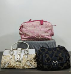 Premium Bags (Coach & Guess) - 10pcs [DB-003]