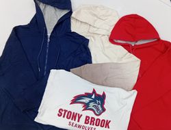 ZH0327 Champion Hoodies - 10 pièces