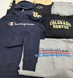 ZH0346 Champion Hoodies - 10 Pcs