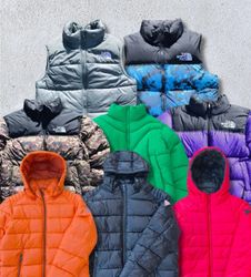 The North Face Jackets Puffer 700-800 vintage