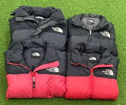 TNF | GIACCA PUFF • 700 | 319
