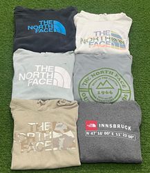 TNF | HOODIE | 289