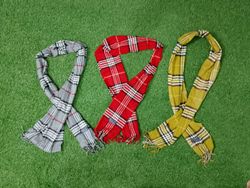 Burberry Scarve