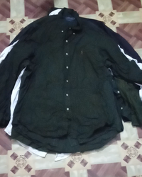 Ralph Lauren Polo Shirts