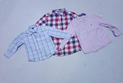 kids branded Shirts