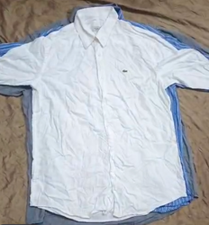 Lacoste Shirts
