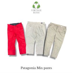 Patagonia Pant