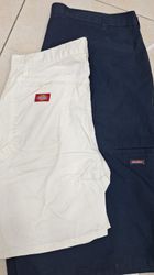 CT1246 Dickies Shorts