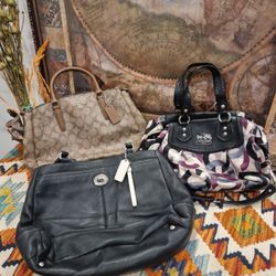 Paquete Premium de Bolsos Coach