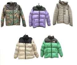 The North Face Puffer Jacket Mix