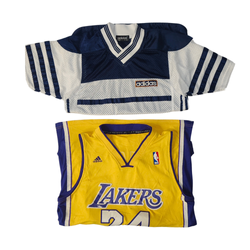 Sporttrikot