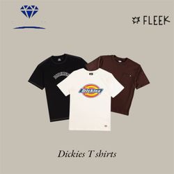 Dickies T-Shirt (DV-8- 93)
