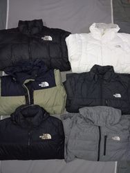 The North Face Puffer Jackets