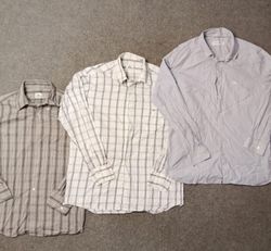 Camisas Lacoste