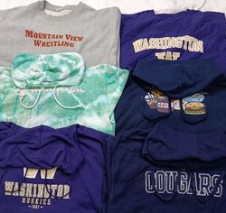 Champion Hoodies/ Sweatshirts 2056