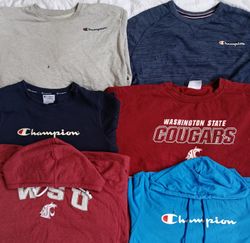 Champion Hoodies/ Sweatshirt 2128
