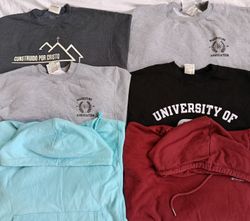 Champion Hoodies/ Sweatshirt 2129