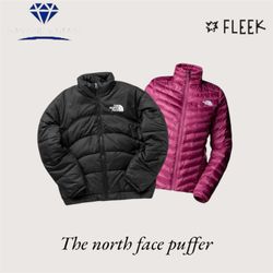The north face puffer  (DV -8- 349)
