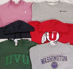 Champion Hoodies/Sweatshirt 2187