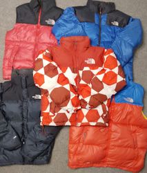 The north face puffer jacket