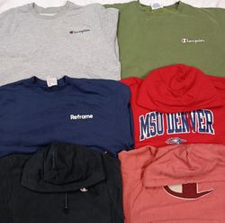 Champion Hoodies/Sweatshirt (2215)