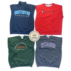 Champion Sweatshirts AT29